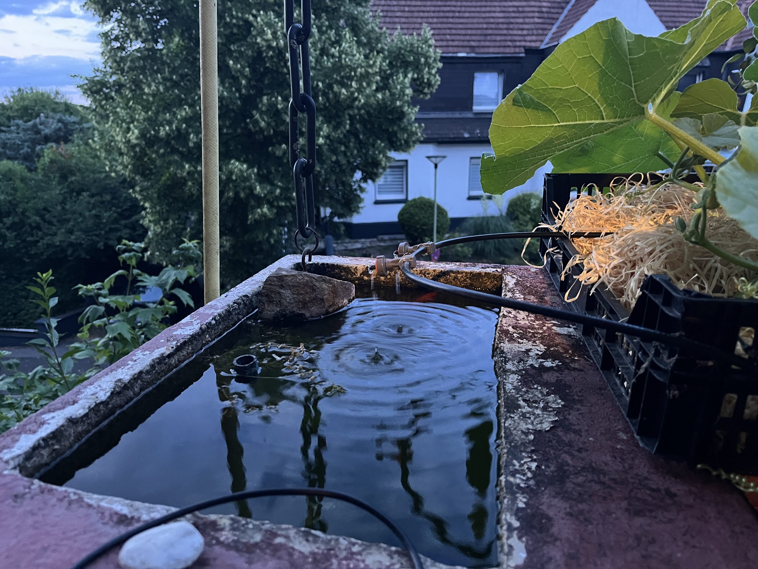 Mehr über den Artikel erfahren Mittwoch, 02.07.2025 Abfahrt verschoben