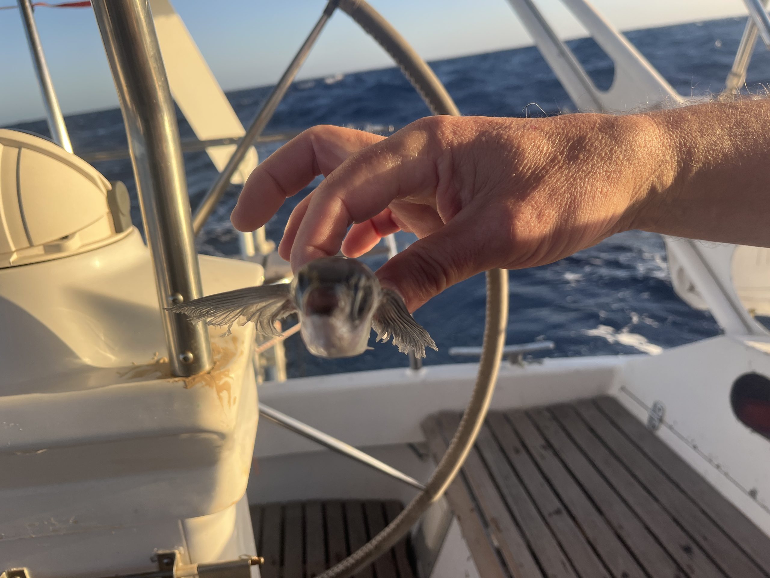 Du betrachtest gerade Donnerstag, 11.12.2025 Teil 1 der Morgen