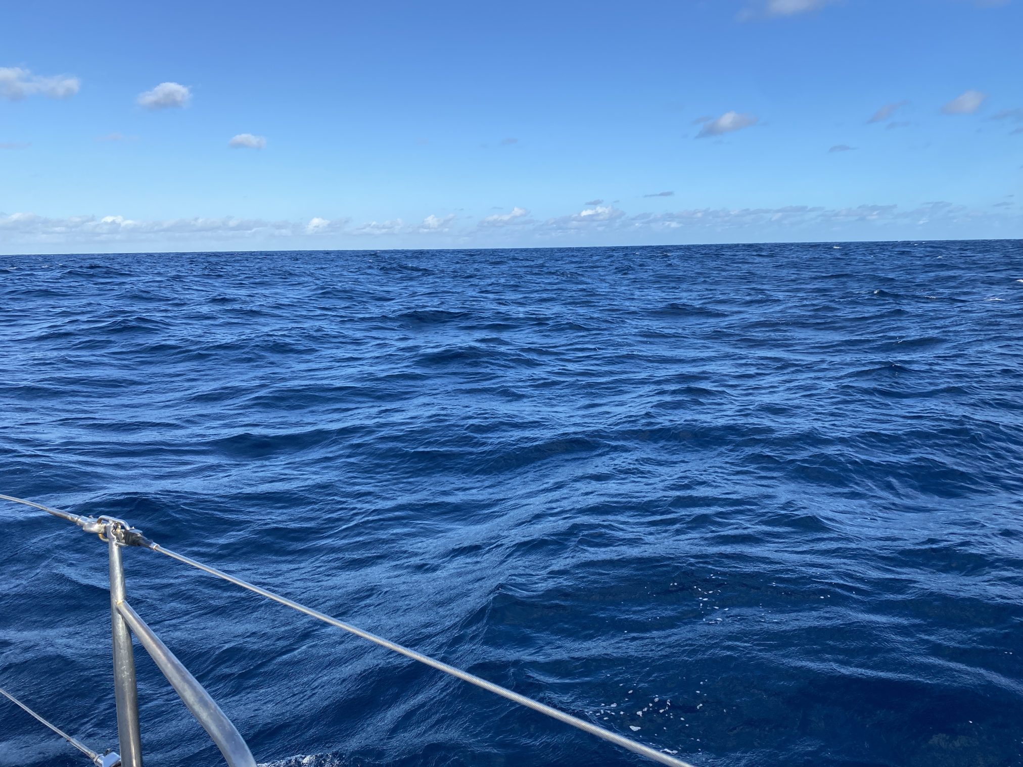 Mehr über den Artikel erfahren Montag, 05.01.2026