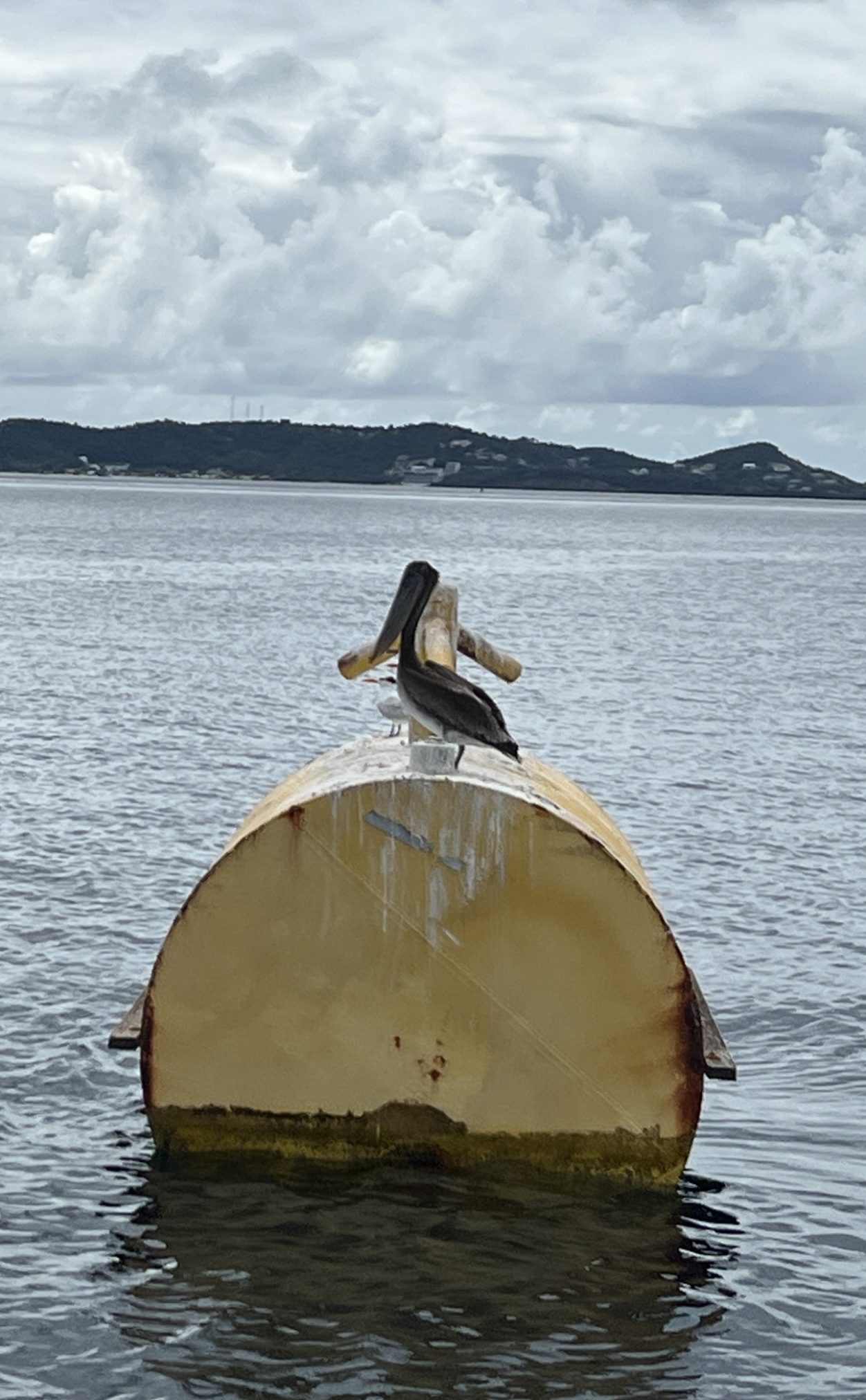 Mehr über den Artikel erfahren Samstag, 24.01.2026 Teil 2