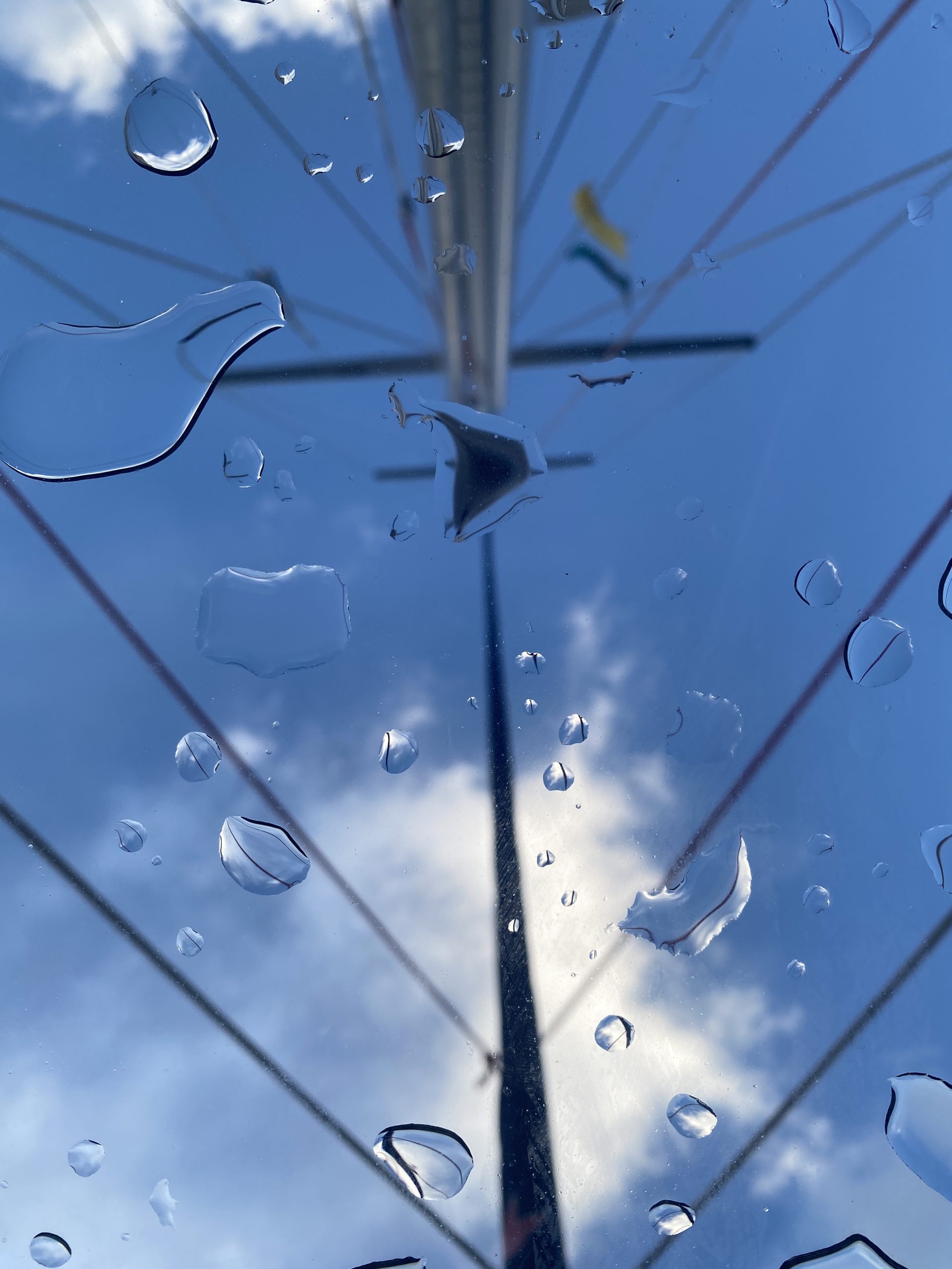 Mehr über den Artikel erfahren Montag, 26.01.2026