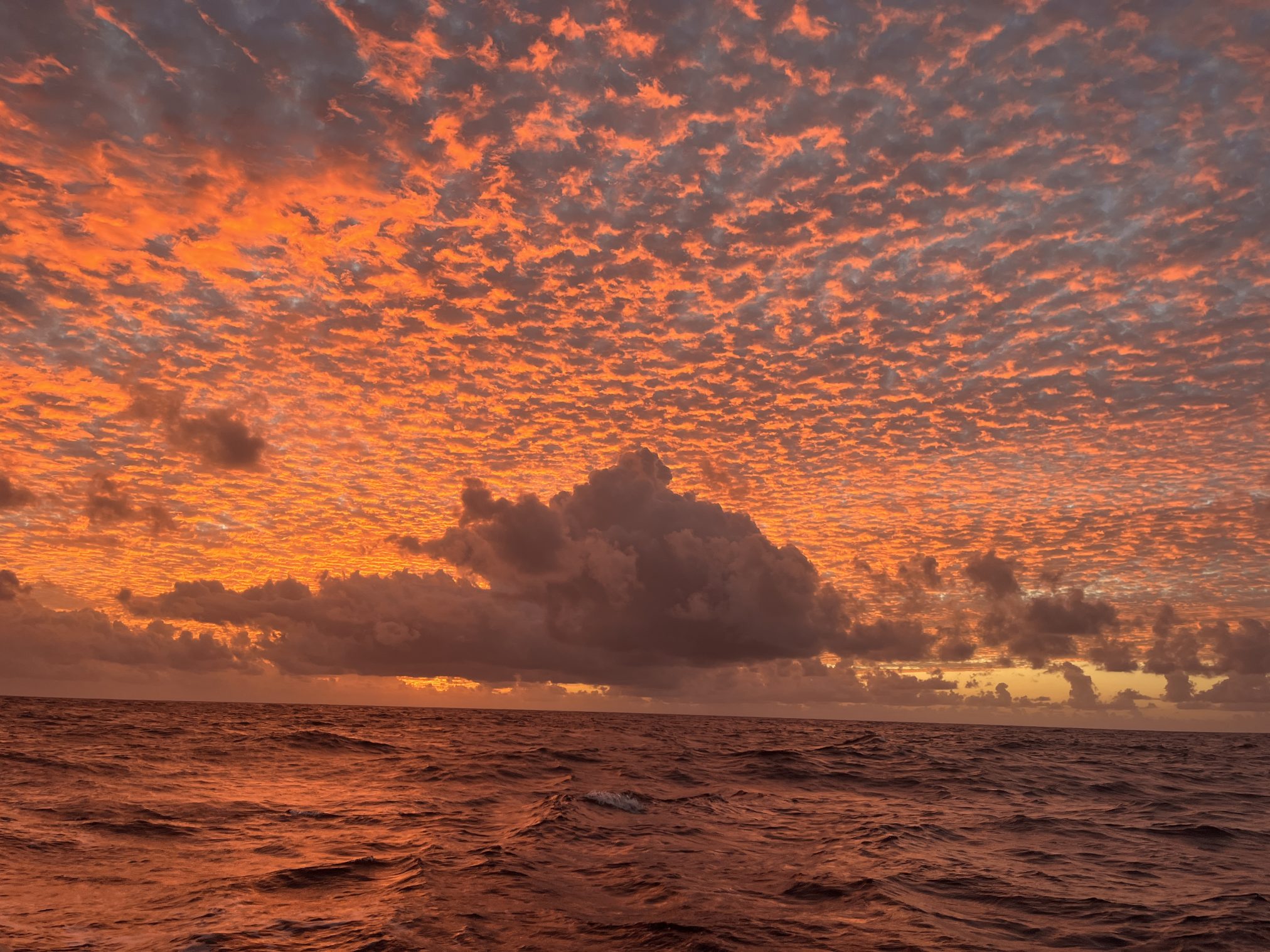 Mehr über den Artikel erfahren Donnerstag, 08.01.2026