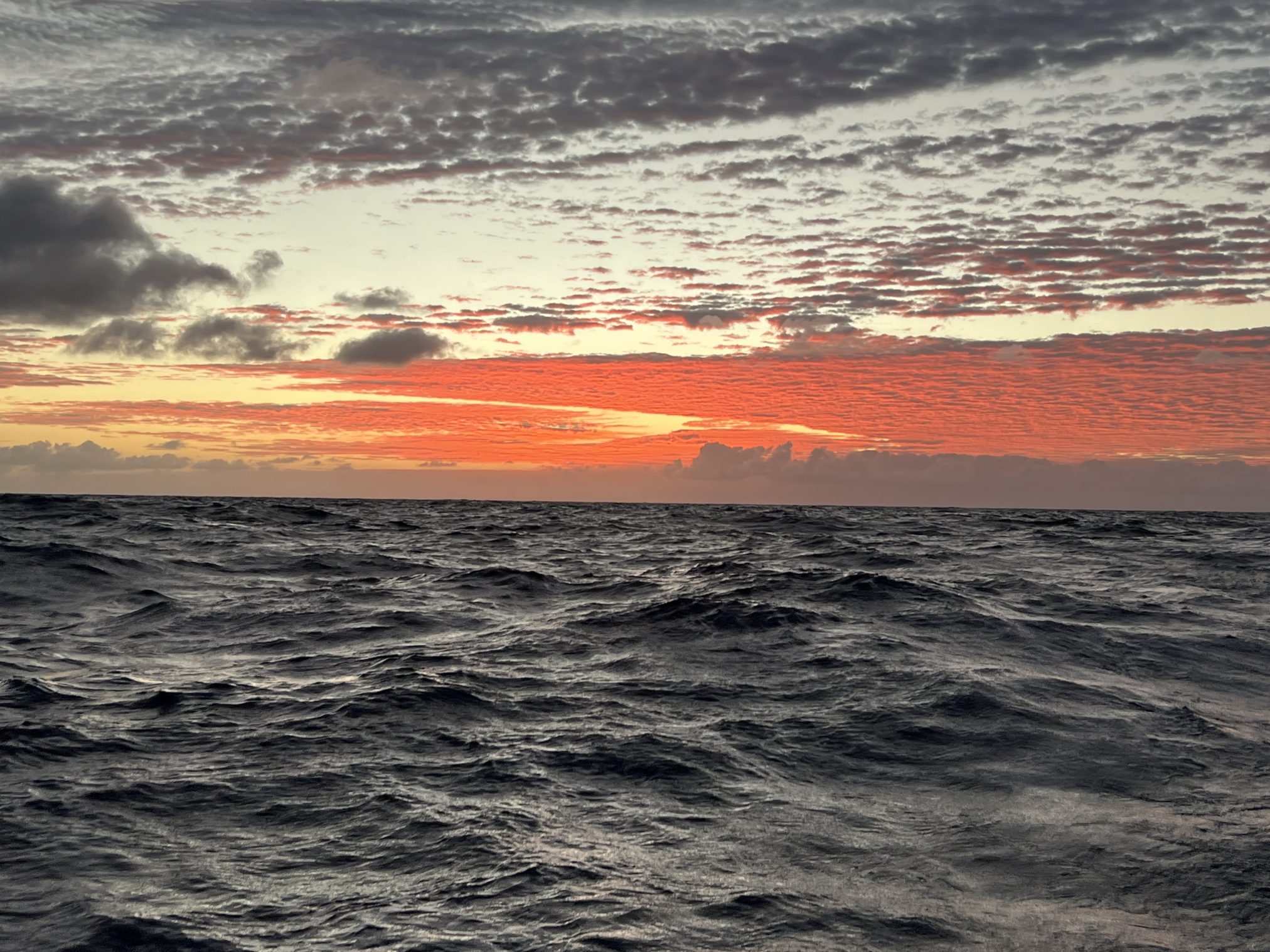 Mehr über den Artikel erfahren Donnerstag, 01.01.2026 Neujahrstag