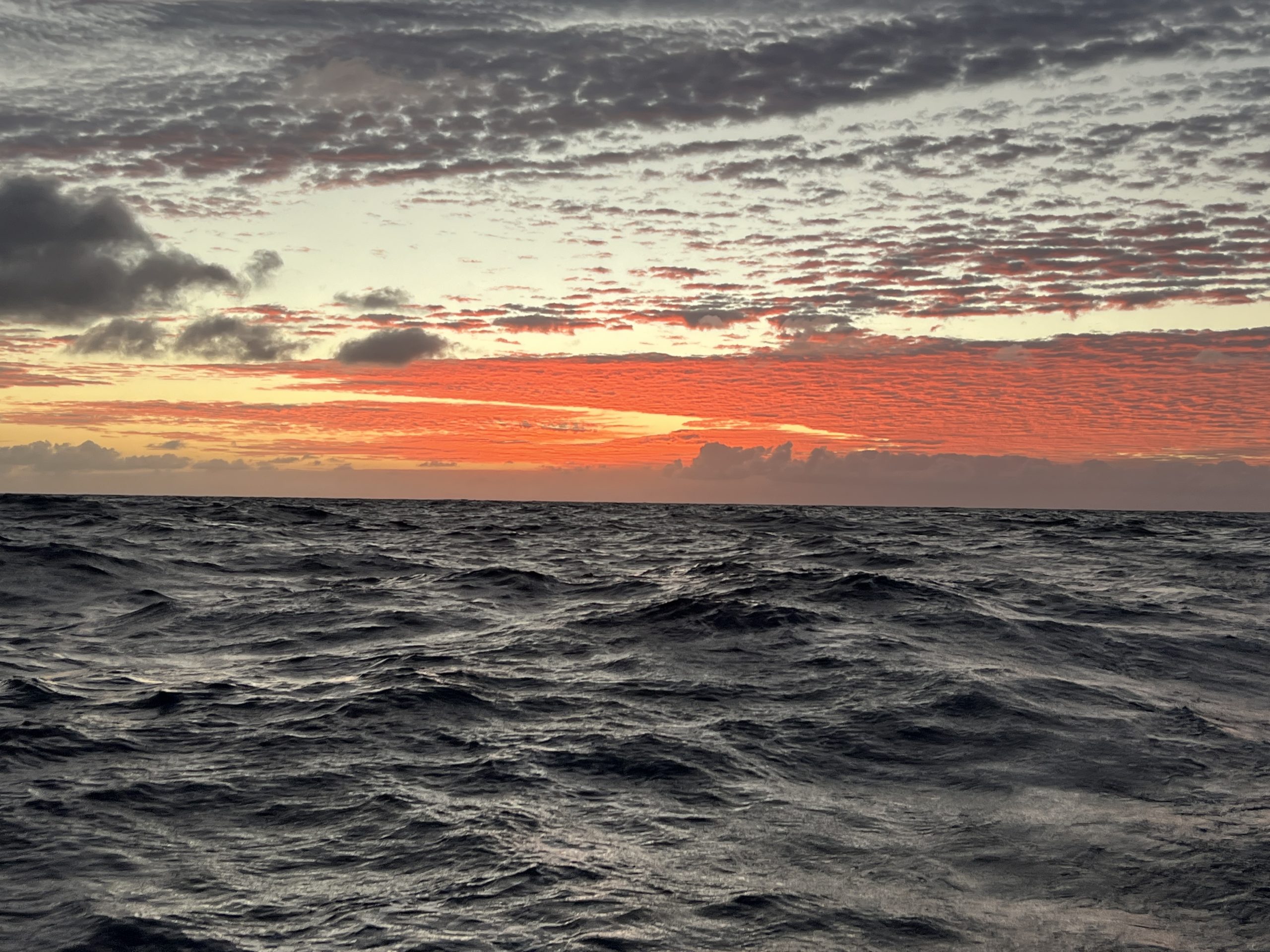 Mehr über den Artikel erfahren Donnerstag, 01.01.2026 Neujahrstag