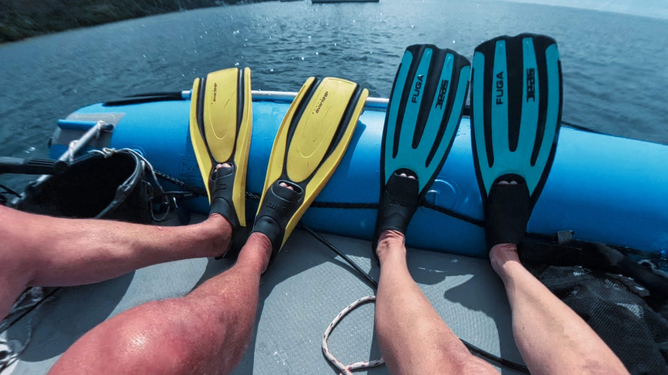 Du betrachtest gerade Sonntag, 25.01.2026