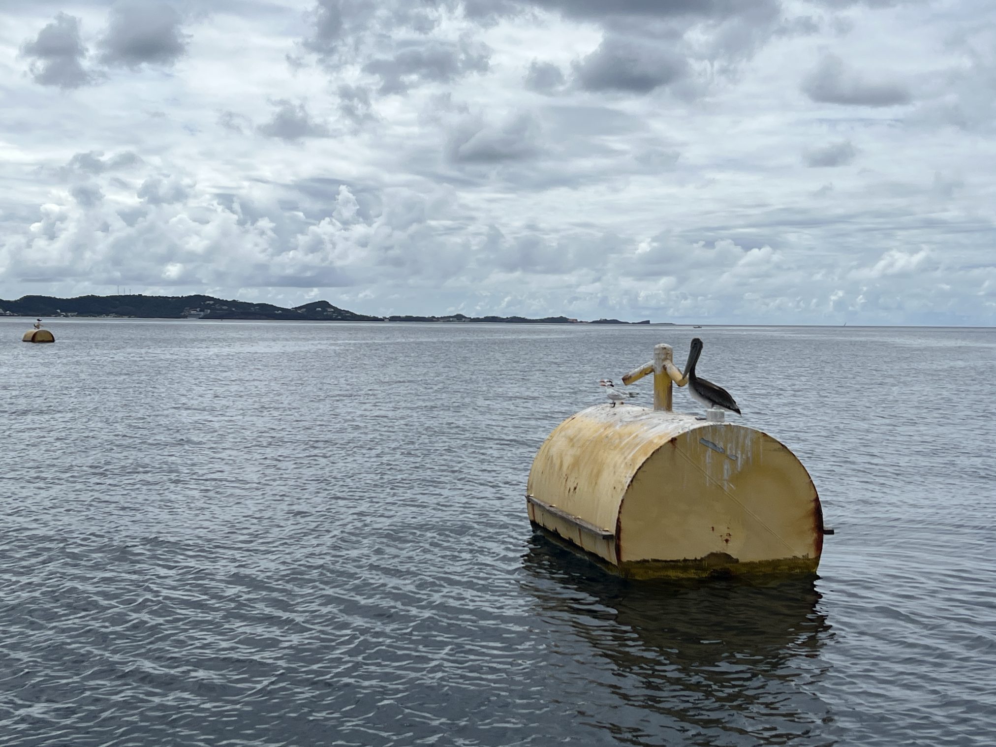 Mehr über den Artikel erfahren Freitag, 16.01.2026