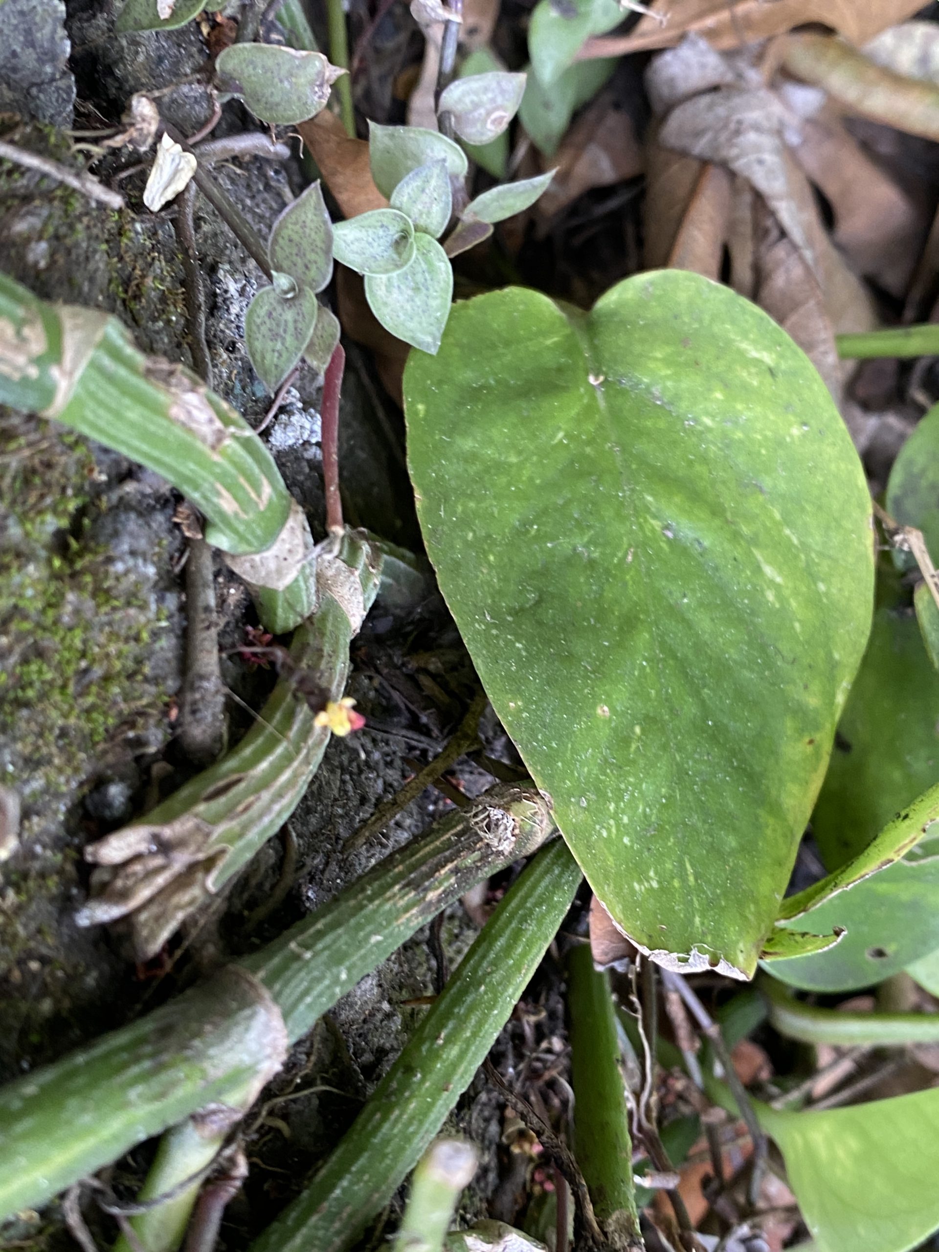 Mehr über den Artikel erfahren Dienstag, 03.02.2026