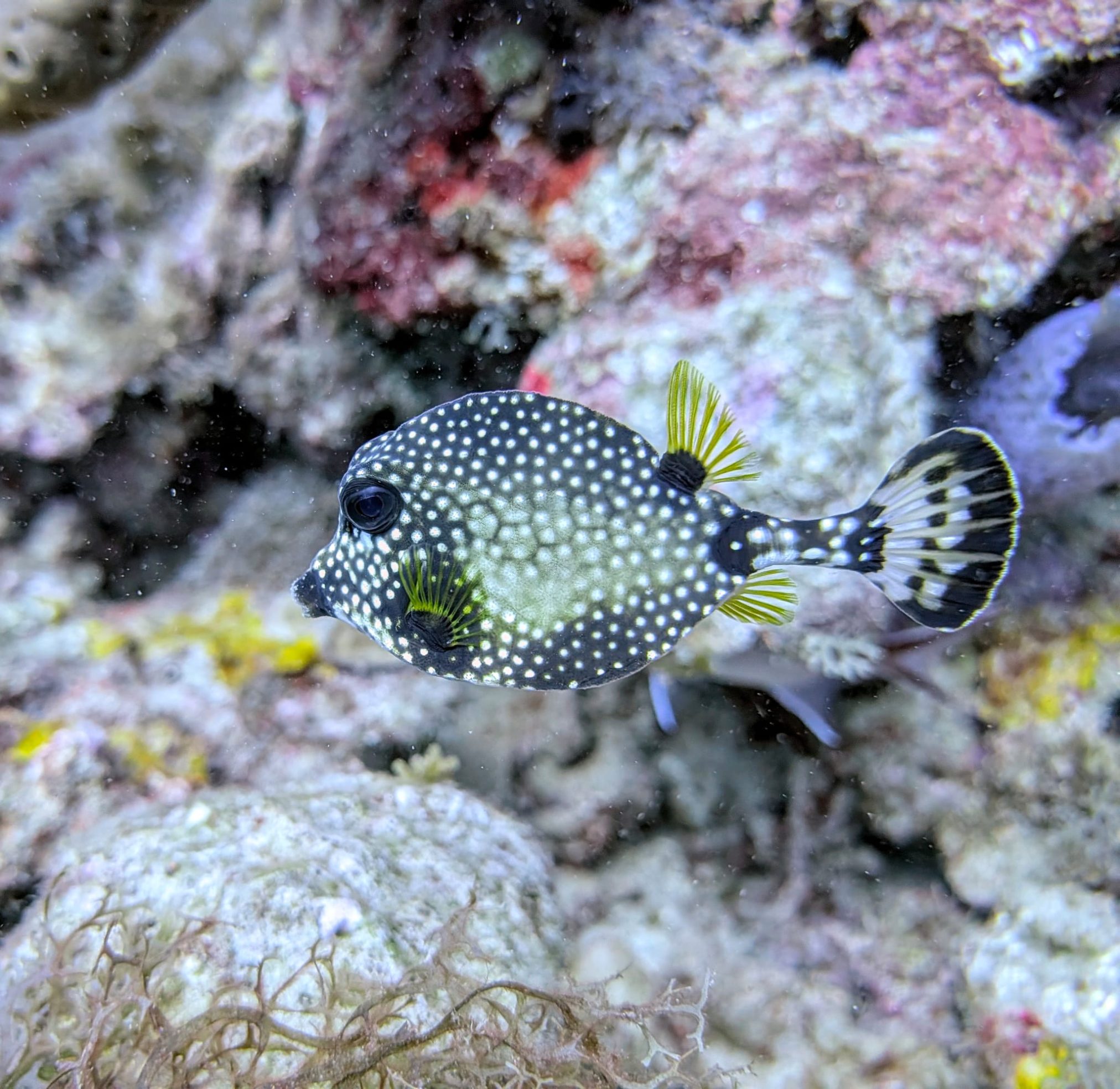 Mehr über den Artikel erfahren Donnerstag, 12.02.2026