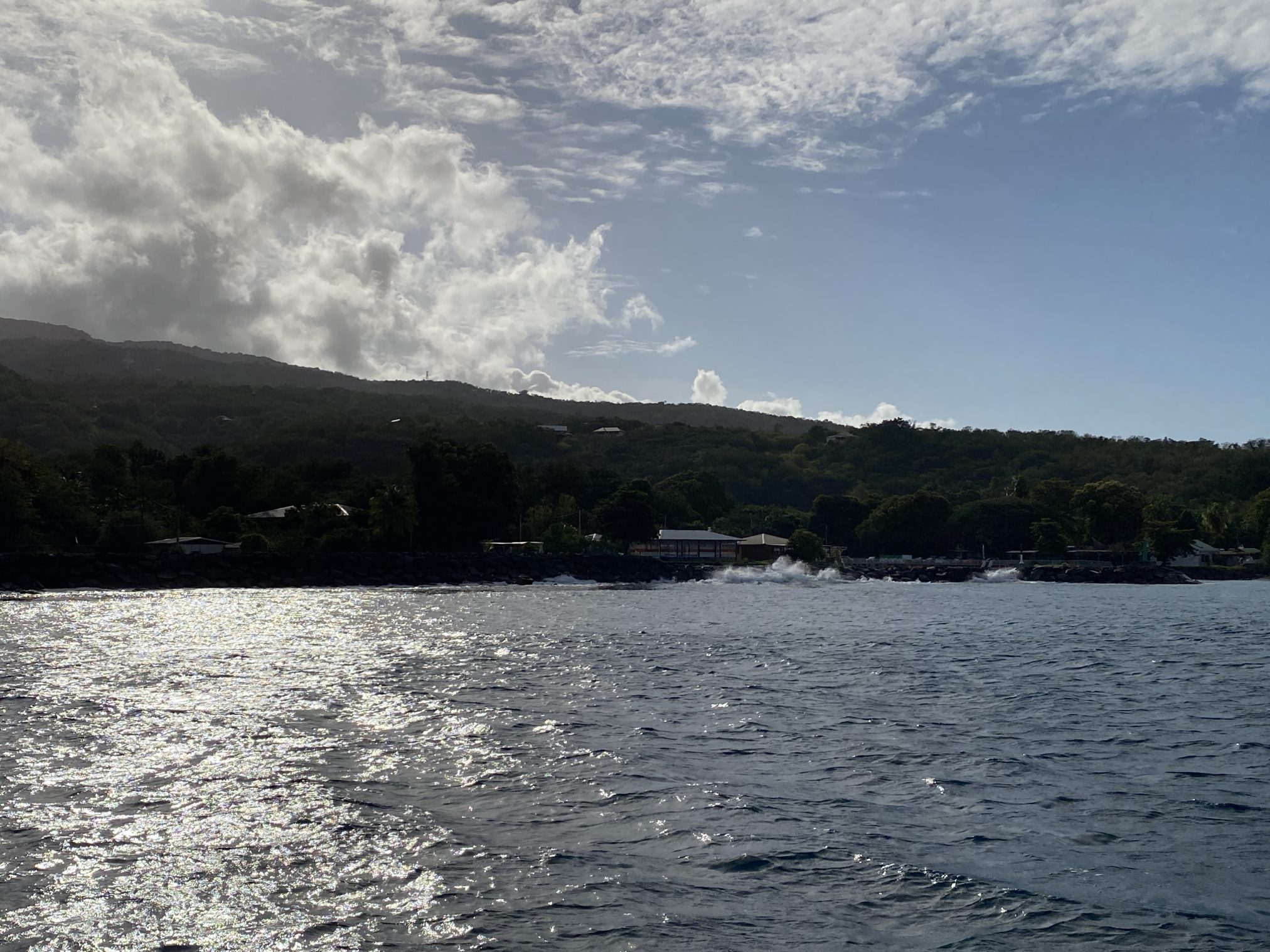 Mehr über den Artikel erfahren Donnerstag, 29.01.2026