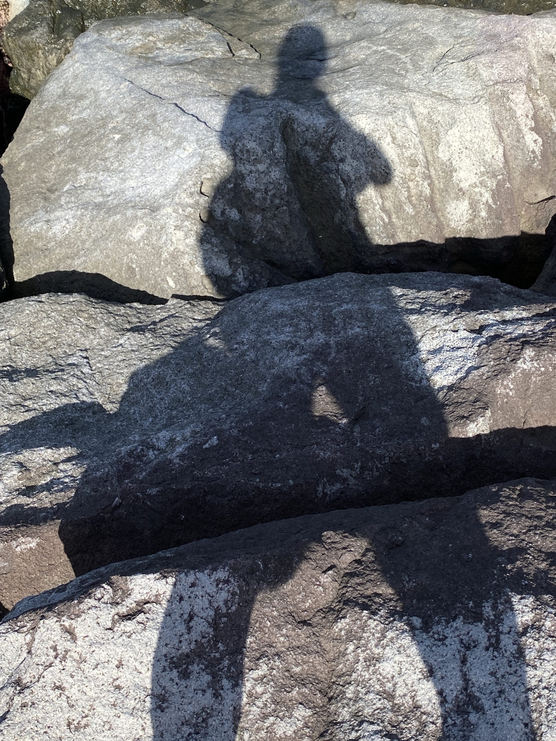 Mehr über den Artikel erfahren Sonntag, 01.02.2026