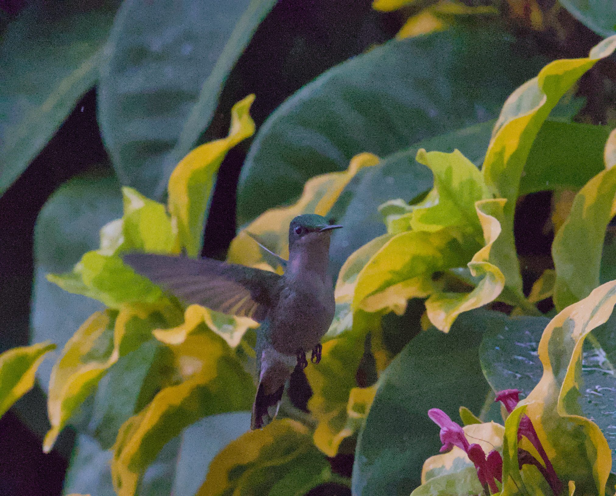 Mehr über den Artikel erfahren Freitag, 20.03.2026