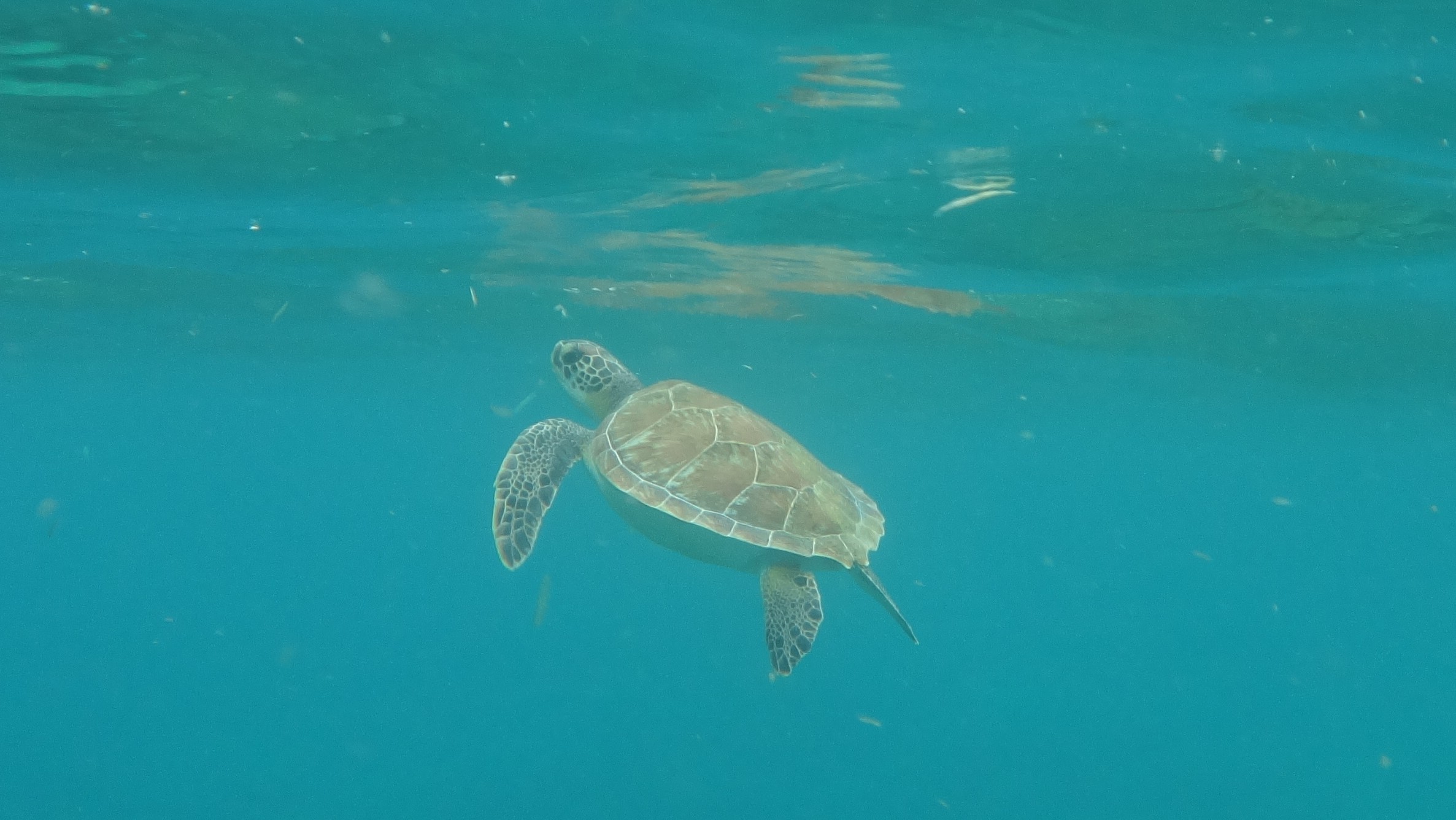 Mehr über den Artikel erfahren Sonntag, 08.03.2026