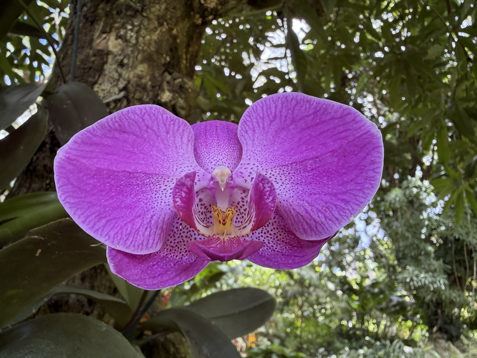 Mehr über den Artikel erfahren Montag, 30.03.2026