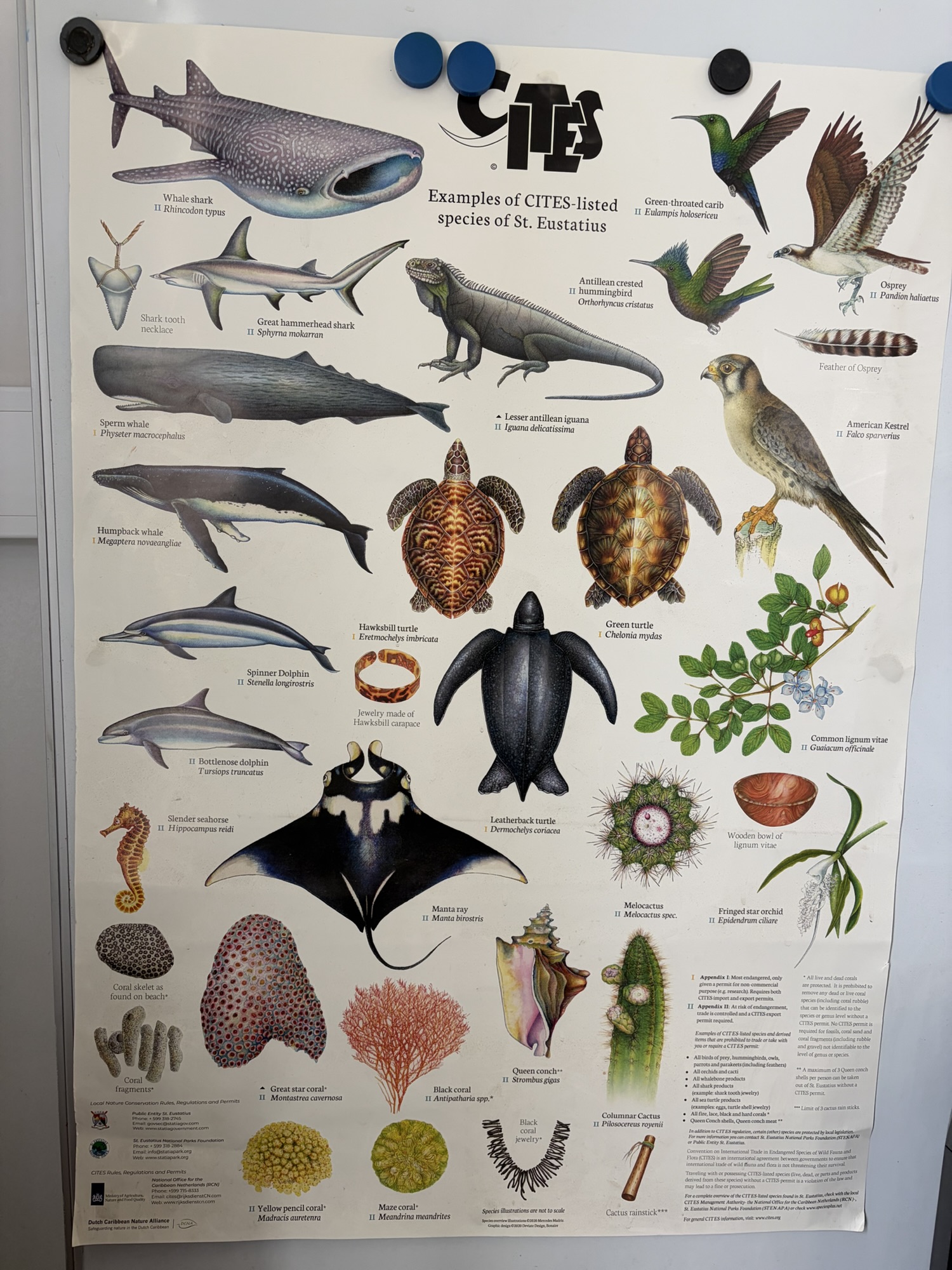 Mehr über den Artikel erfahren Ostermontag, 06.04.2026